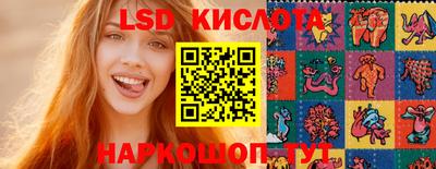 стафф Партизанск