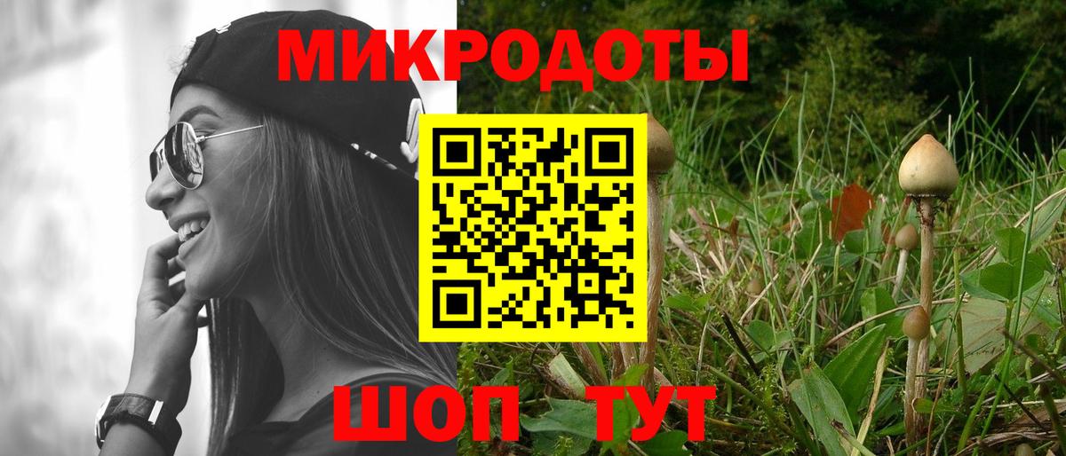 Галлюциногенные грибы Psilocybe  Галлюциногенные грибы мицелий  Урус-Мартан  Вход с VPN 