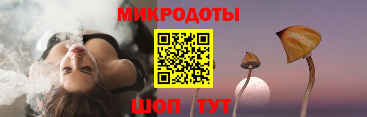 Псилоцибиновые грибы Cubensis Урус-Мартан